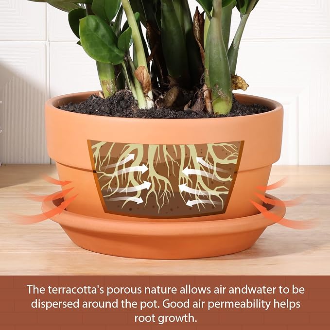 INGOFIN 8 Inch Terracotta Shallow Pots Set with Saucer - Ceramic Clay Pots with Drainage Hole, Terra Cotta Pot for Plants for Indoor Outdoor Plants, Set of 2