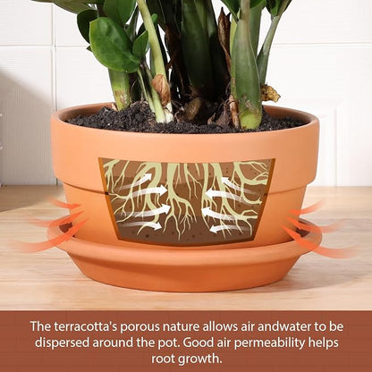 INGOFIN 8 Inch Terracotta Shallow Pots Set with Saucer - Ceramic Clay Pots with Drainage Hole, Terra Cotta Pot for Plants for Indoor Outdoor Plants, Set of 2