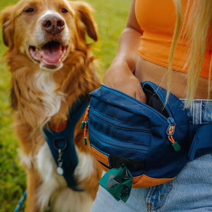 Wilderdog Utility Fanny Pack stores Treats, Balls, Keys in 3 Pockets with adjustable strap and Poop Bag dispenser (Pacific Blue)