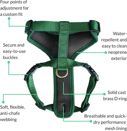 Adventure Dog Harness - Stylish and Durable Small Dog Harness for Outdoor Adventures and Everyday Wear - Forest Green Neoprene Adjustable Harness for Dogs with Reflective Piping & Brass D-Ring