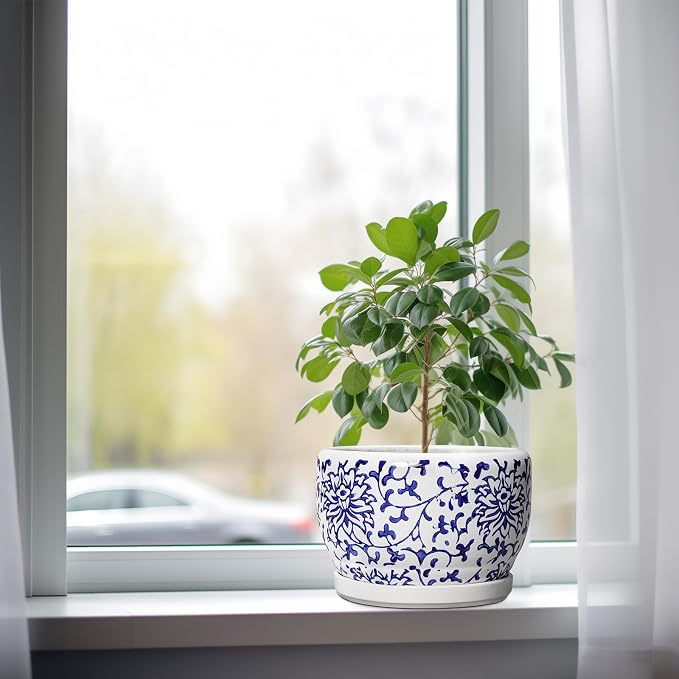 SQOWL Ceramic Pots for Plants - 8 inch Ceramic Planter with Drainage Hole and Saucer, Round Flower Pots for Indoor Plants, Porcelain Planter Outdoor, Porch Decor, Gifts for Women Men, Blue and White