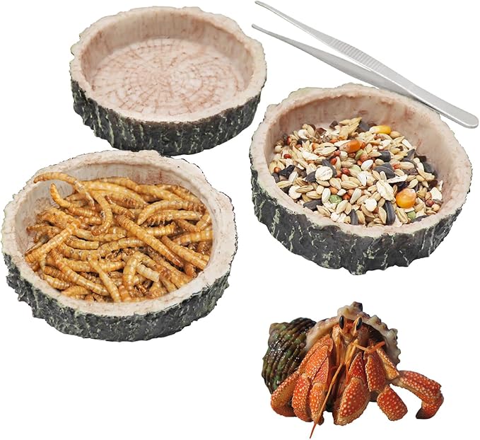 3 Pack Reptile Water Dish Food Bowls, Hermit Crab Food Dish with Feeding Tongs, Bearded Dragon Water Bowl, Suitable for Hermit Crab Lizard Gecko Tortoise Turtle Frog Leopard Crested Gecko