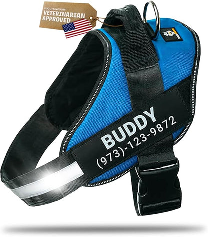 Personalized Dog Harness with Custom Name Patches, Adjustable Reflective No Choke Dog Vest with Handle for Large Dogs, Blue, L