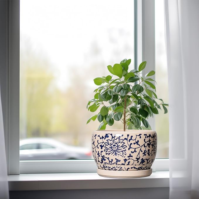SQOWL Ceramic Planters for Indoor Plants - 8 inch Plant Pot with Drainage Hole and Saucer, Decorative Flower Pot Outdoor, Porcelain Round Planter, Living Room Decor, Gardening Gifts, Blue and Beige