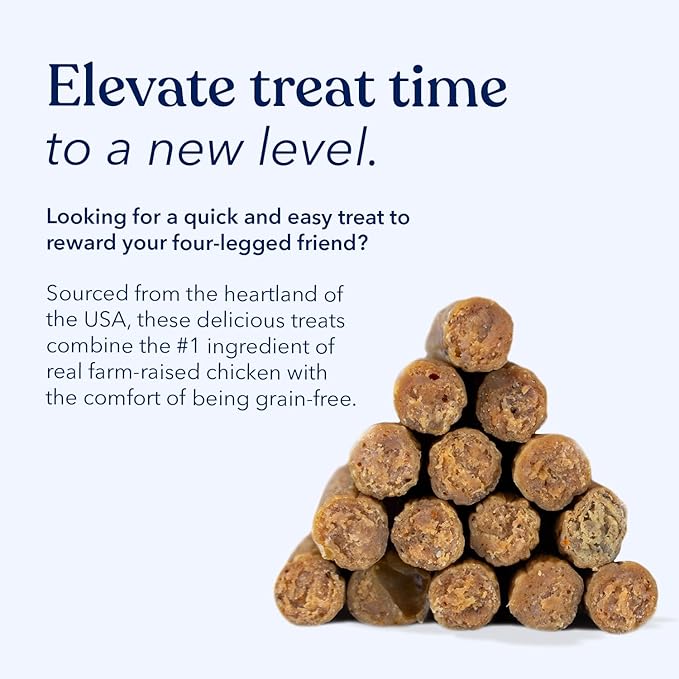 Honest Paws Dog Jerky Treats - All-Natural Jerky Dog Treats for Training Pets - Human Grade Bites - Real USA Chicken