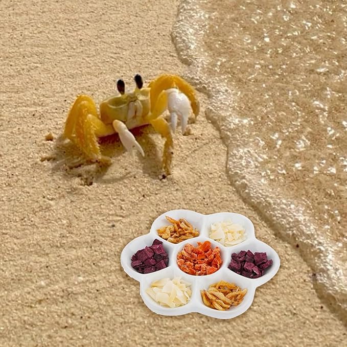 4.53" Hermit Crab Ceramic Food Dish,7 Compartments Ceramic Anti-Turning Food & Water Bowl for Hermit Crab Tarantula Snail
