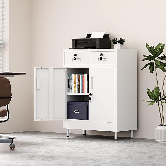 Metal Storage Cabinet with Locking Doors and 2 Drawers, Lockable Storage