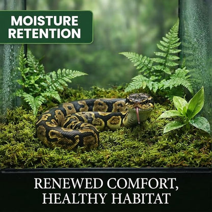 Sukh Sphagnum Moss for Reptiles -Terrarium Moss for Reptiles Peat Moss for Reptiles Habitat Bedding Moss for Snakes Turtle Frog Gecko and Other Reptiles Substrate (6.3, Ounces)