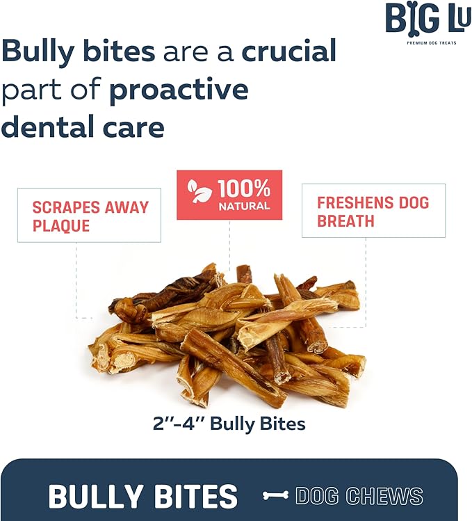Big Lu - 2-4” Bully and Braided Sticks, 1 lb Bag, 100% Grass-Fed Beef Chews, Fully Digestible Treats for Puppies and Small to Medium Dogs, Natural Single-Ingredient Chews for Keeping Dogs Busy