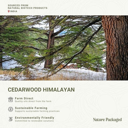 Cedarwood Himalayan Essential Oil