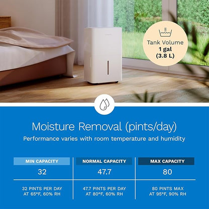 hOmeLabs Dehumidifier