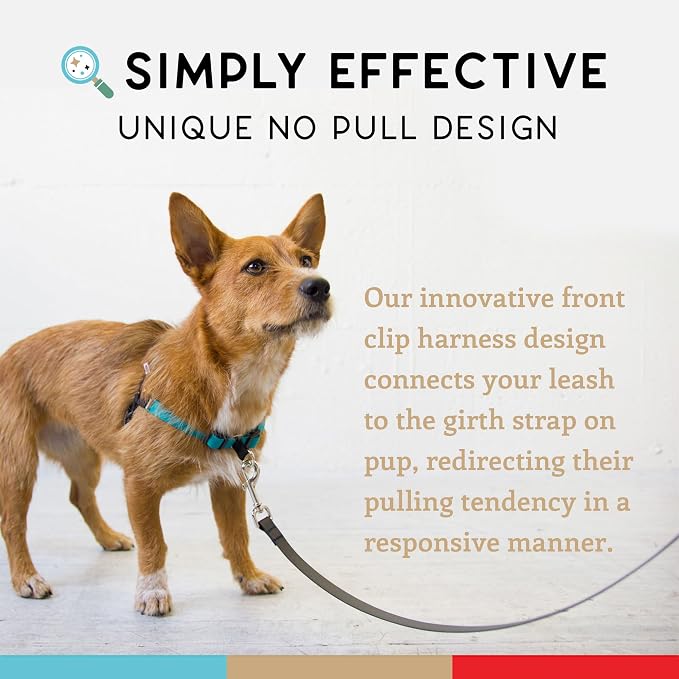 No Pull Dog Harness | Comfortable Training Harnesses | Effective No Pull Harness Design | Ideal for Medium Sized Dog | 4-Point Adjustable(M - 22~28 inch Girth, Turquoise)