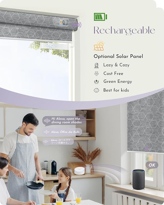 Graywind Motorized Solar Shades Light Filtering Mesh Shade Compatible