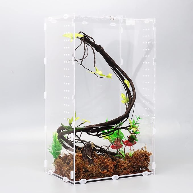 Aiicioo Micro Habitat Terrarium Enclosure 8x6x14 Inches Tarantula Enclosure Box Insect Habitat Clear Acrylic Reptile Feeding Tank for Jumping Spiders Insect Small Tree Dwelling Reptiles
