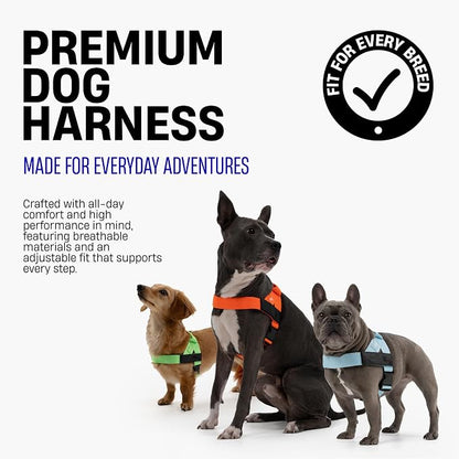 Dog Friendly Co. Dog Harness for Small Dogs (Red, XXSmall) | One Click Buckle, Chafe Resistant Webbing, Adjustable Neck & Chest, and Heavy Duty D-Ring, Sturdy Comfortable and Easy to Use