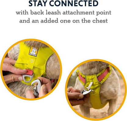 Ruffwear, Hi & Light, Everyday Lightweight Dog Harness, Trail Running, Walking, Hiking, All-Day Wear, Sage Green, Small
