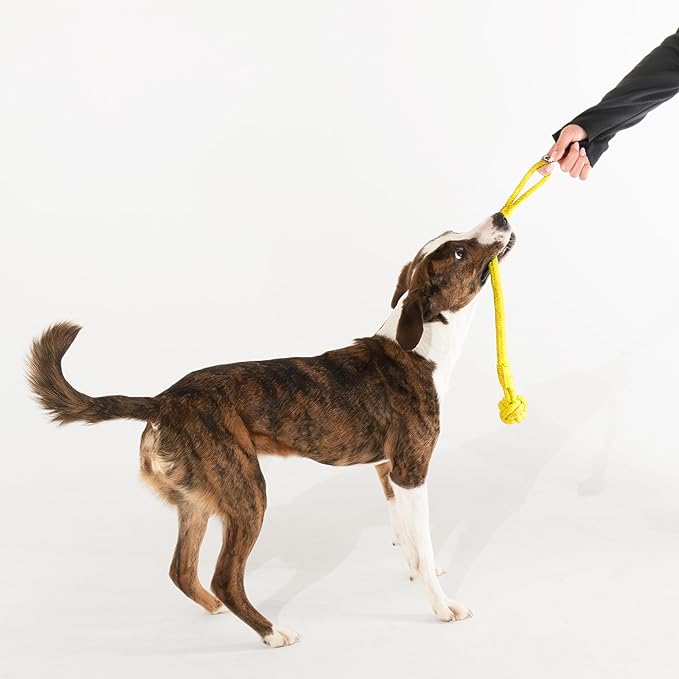 Playology Dog Toys | Puppy Toy Tough Tug Knot for Tug of War Designed for Young & Active Dogs | Medium Chicken Scented Toy Made from Non Toxic Materials