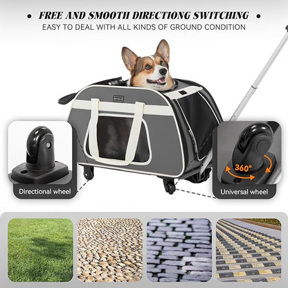 PETSFIT Large Pet Carrier with Wheels Designed for 2 Small Dogs/Multiple Kittens/Medium Dogs with Adjustable Safety Rope & Waterproof Bottom(𝑵𝒐𝒕 𝒂𝒊𝒓𝒍𝒊𝒏𝒆 𝒂𝒑𝒑𝒓𝒐𝒗𝒆𝒅)
