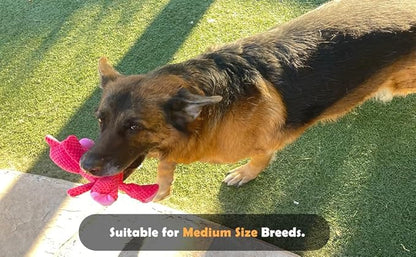 Jalousie Multipack Dog Squeaky Toys Strong Almost Indestructible, with Added Liner for Longer Play Dog Chew Toys (Medium to Large Breeds, 5 Pack Checks for Aggressive Chewers)