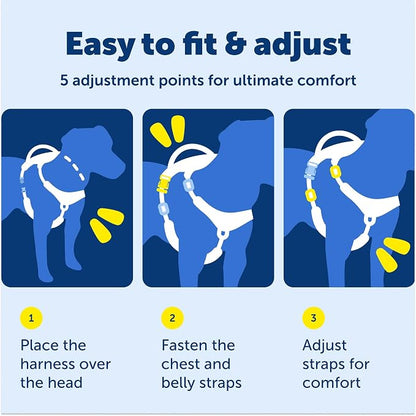 PetSafe Easy Walk Comfort No Pull Dog Harness, Green, Medium | Stops Pulling on First Use with Front Martingale Loop, Full-Body Padding, 5-Point Adjustable Fit