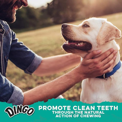 Dingo Dental Sticks 48 Count, Natural Chewing Action Helps Clean Teeth