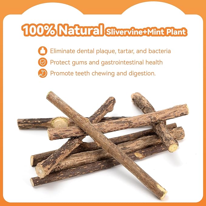 6Pcs Silvervine Sticks for Cats with Catnip Bag, Cat Chew Toys for Teeth Cleaning and Anxiety Relief, Natural Dental Care Kit for Indoor Cats & Kittens