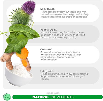 Milk Thistle for Dogs - 90 Soft Chews - Liver and Kidney Support - Hepatic Support with EPA & DHA - Detox - Liver Supplement for Dogs with Choline and L-Arginine.