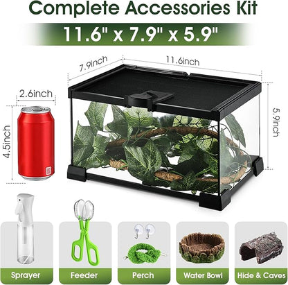 Reptile Terrarium Glass Kit 12" x 8" x 6" Starter Habitat for Tarantula, Succulents, Frogs, or Hermit Crabs, Tank with Escape-Proof Locking Lid