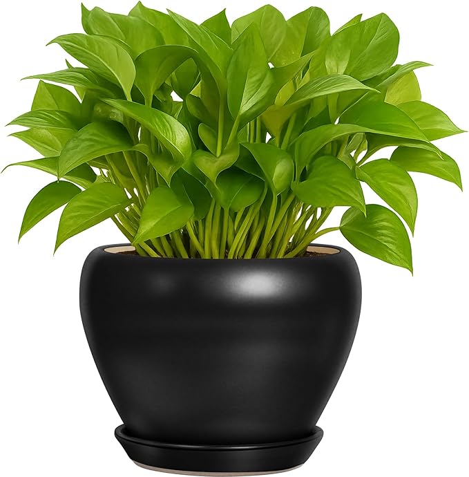 6 Inch Plant Pot - Ceramic Planter with Drainage Hole and Trays, Modern Round Flower Pot, Planters for Indoor Outdoor Plants, Home Garden Decor, Black