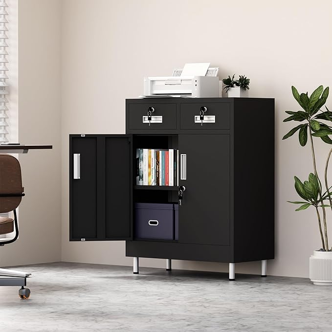 Metal Storage Cabinet with Locking Doors and 2 Drawers, Lockable Storage