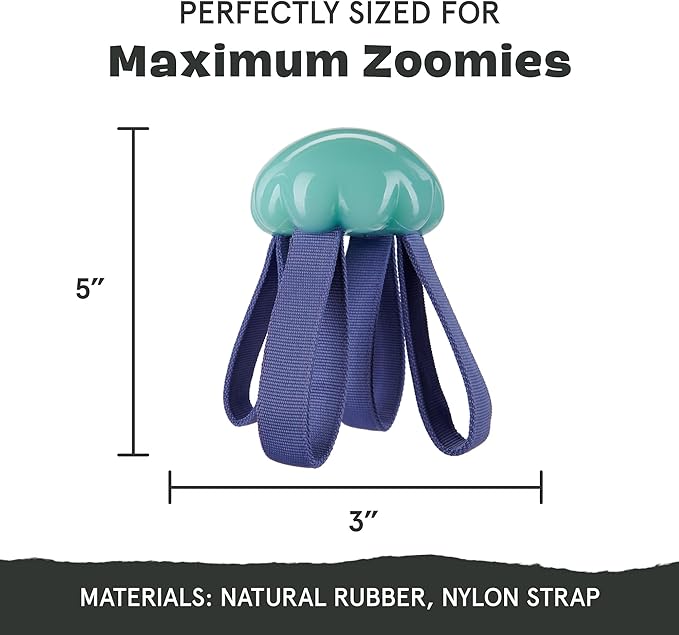 Barkbox Jelly Fetch Dog Toy for Medium Dogs – Perfect for Tug and Fetch Play, Durable Design with Strong Nylon Straps for Long-Lasting Fun