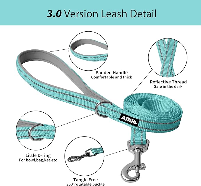 AIITLE Escape Proof Dog Harness - Step in Adjustable Dog Harness No Choke Over with Quick-Release Buckle for Summer- Outdoor Walking, Camping, Training for Medium Dogs Pure Turquoise XL
