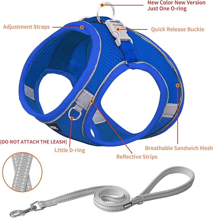 AIITLE Easy Walk Dog Harness and Leash Set - Pet Supply No Pull, Step in Adjustable Pet Harnesses with Padded Vest for Summer, No Choke Over, Easy to Put on Medium Dogs Royal Blue L