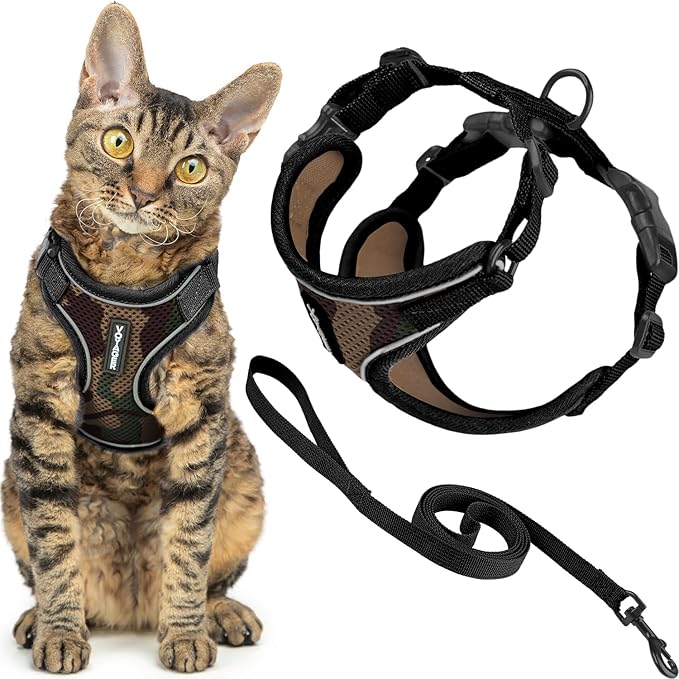 Voyager Escape Proof Cat Harness and Leash Set with Reflective Stitching, Neoprene Handle 5ft - Supports Small, Medium and Large Cats, Kittens for Walking by Best Pet Supplies - Army, XXXS