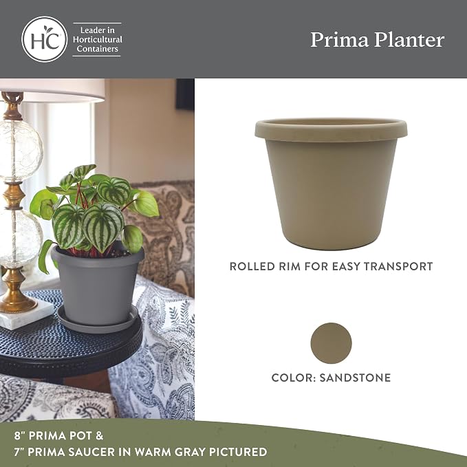 The HC Companies Prima Round Plastic Plant Pot w/Rolled Rim - Lightweight & UV Resistant Flower Pot for Herbs & More - Outdoor & Indoor Plant Pots w/Drainage (6 inch, Sandstone, Pack of 1)