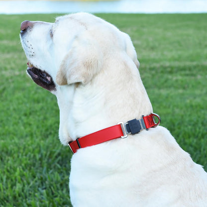 Dogline Biothane Waterproof Dog Collar with Herm Sprenger Stainless Steel Quick Release Buckle – Heavy Duty Tactical Durable Collar for Dogs – Comfortable and Safe Pet Collar, W 3/4" L 12-19", Red