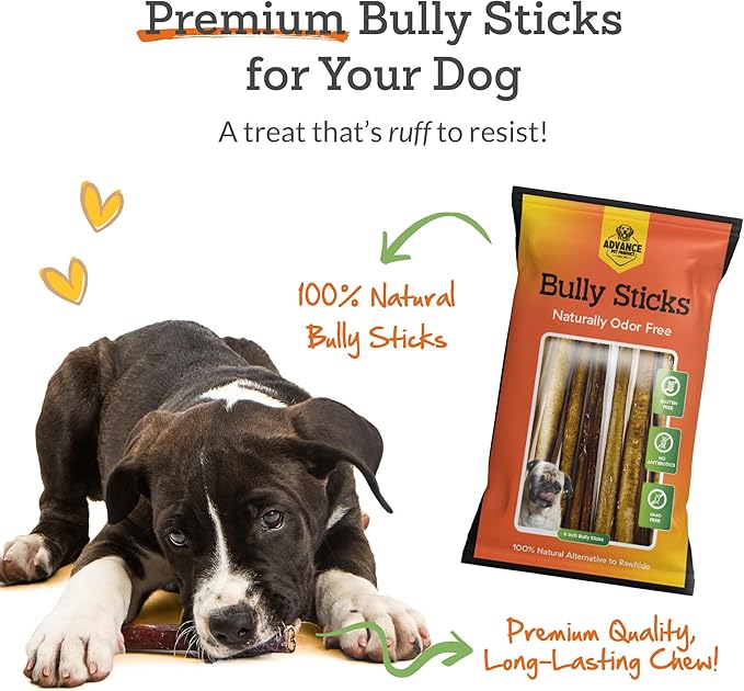 Advance Pet Products 6 Inch Bully Sticks (Pack of 5) - 100% Beef, Odor Free Dog Chews for Aggressive Chewers - Long Lasting, Gluten-Free, Easy to Digest, High Protein & Rawhide Free Chews for Dogs