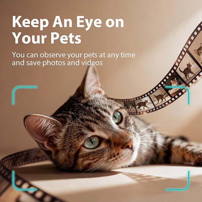 IMIPAW Automatic Cat Feeder
