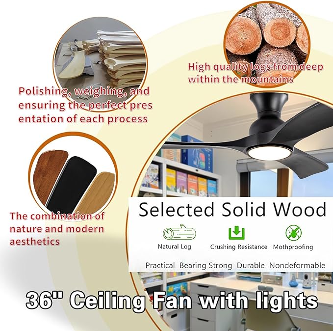 Gaizw 36 Inch Black Ceiling Fans