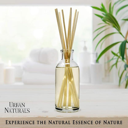 Urban Naturals Winter Birch Reed Diffuser Oil Gift Set | Birch Wood & Balsam
