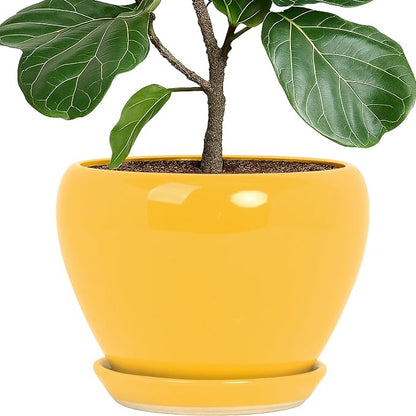 Deep Dream 10 Inch Plant Pot- Ceramic Planter Pot Round Plant Pots for Indoor Plants Outdoor Large Flower Pot with Drainage Holes & Trays, Yellow