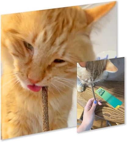 Zoom Sticks - Silvervine Sticks Covered in Silvervine Fruit | Dental Support Chew for Cats | High Potency Natural Chew Stick for Indoor Cats
