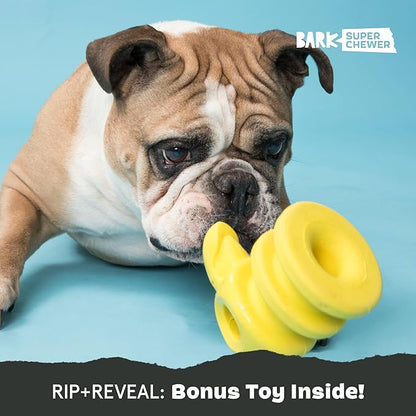 Barkbox Super Chewer Tough Dog Chew Toys for Aggressive Chewers, Plush 2 Toys in 1 (Parrot - Large)