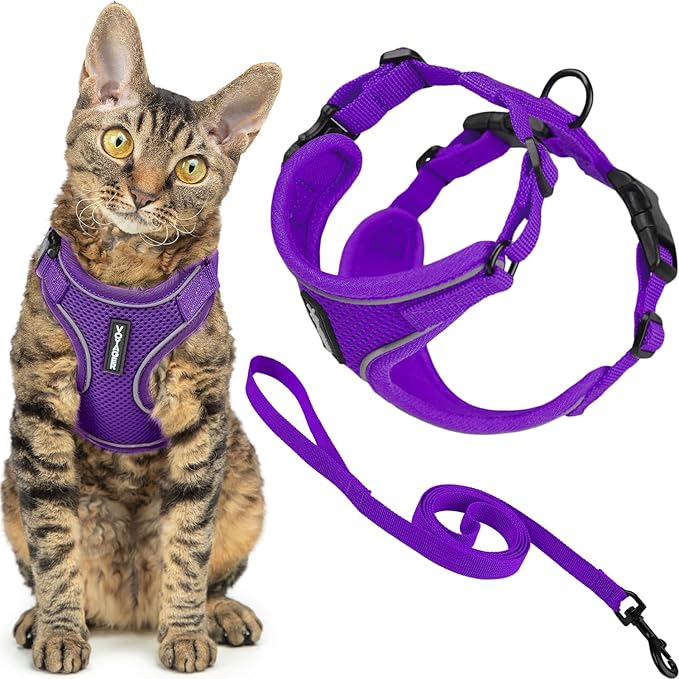 Voyager Escape Proof Cat Harness and Leash Set with Reflective Stitching, Neoprene Handle 5ft - Supports Small, Medium and Large Cats, Kittens for Walking by Best Pet Supplies - Purple, S