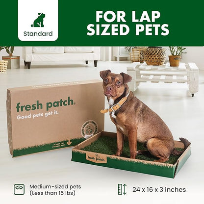Fresh Patch Real Grass Patch for Dogs, Cats, and Small-Medium Pets Under 15 Pounds – Disposable Pet Grass Pee Pads – Indoor and Outdoor Potty Training Mat (16 Inches x 24 Inches)
