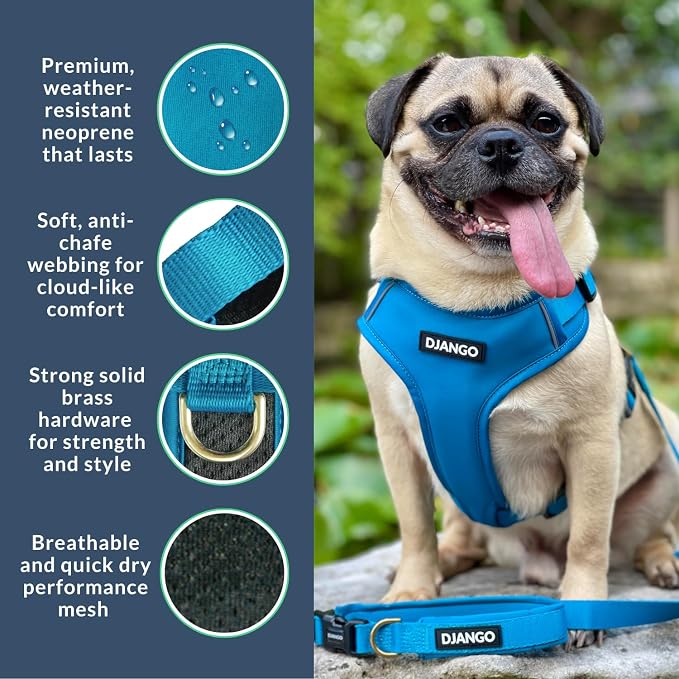 Adventure Dog Harness - Stylish & Durable Large Dog Harness for Outdoor Adventures and Everyday Wear - Pacific Blue Neoprene Adjustable Harness for Dogs with Reflective Piping, Brass D-Ring