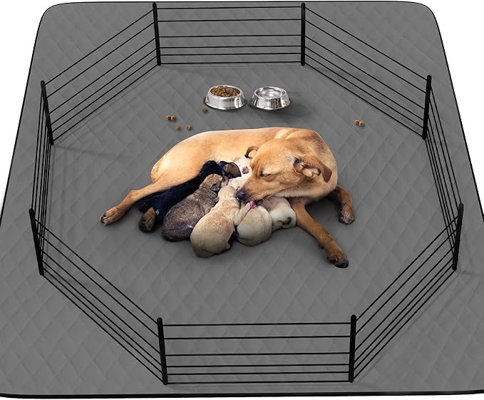 CoolShields Washable Puppy Dog Pee Pad, 72" X72" Extra Large, Waterproof Whelping Training Pet Mat for Playpen, Crate, Potty, Floor, Bed, Sofa and Trunk, Reusable Pee Pads for Dogs, Cats, Bunny | Ultra-Absorbent, Reusable Waterproof Potty Pad for Dogs,...