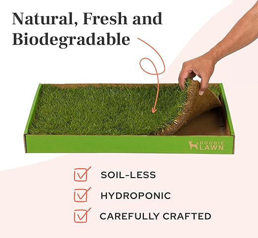 DoggieLawn Real Grass Dog Pee Pads with Tray - Mini Dog Potty Pad 24x9 | No-cleaning, odor-reducing puppy potty training pad for housebreaking, indoor or outdoor use, real grass, replace when needed