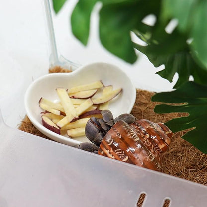 3 Pcs Hermit Crab Ceramic Dish Kit, Mini Food & Water Bowl, Suitable for Hermit Crab, Tarantula, Snail