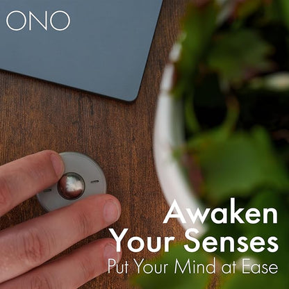 ONO Scroller- Handheld Fidget Toy